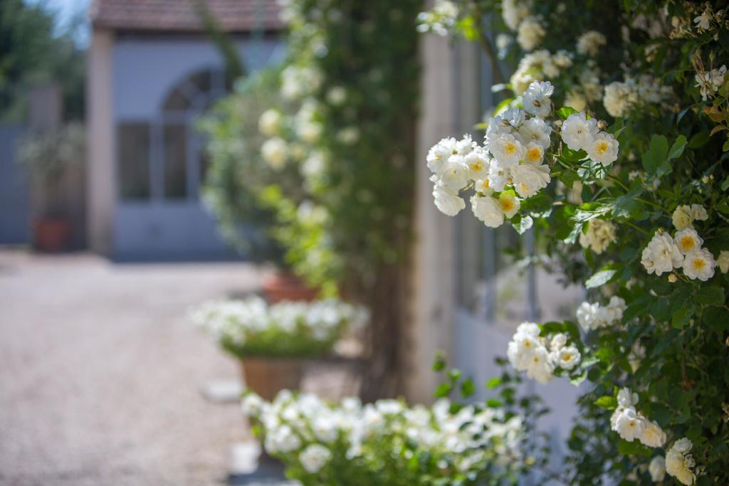 布兰奇芙蓉酒店 Châteauneuf-de-Gadagne 外观 照片